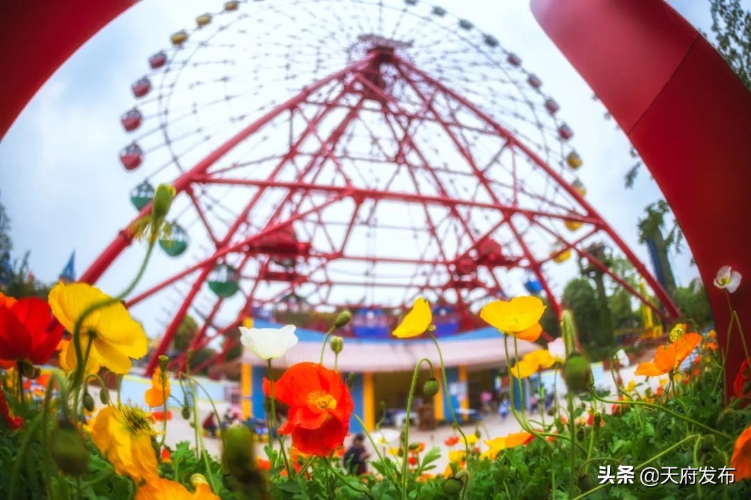 中秋假第2天!天府新区这些地方让你玩个够