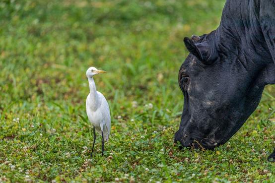 南京江宁区绿水青山,南京青山绿水蓝天白云