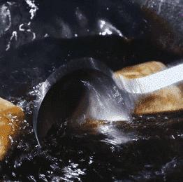 梧州旅游攻略西江明珠,梧州和贺州风景好的地方