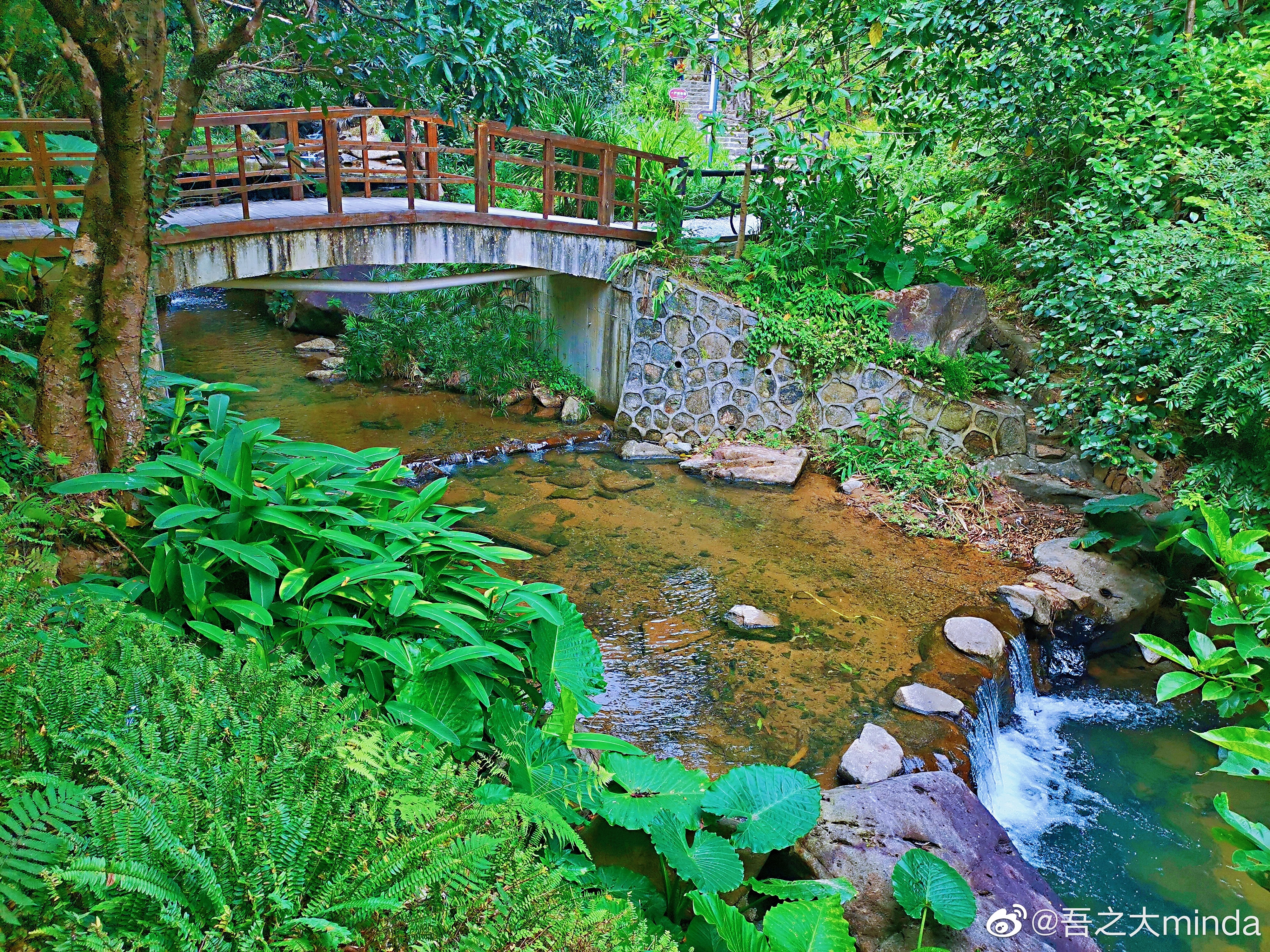 梧桐山下幽径,梧桐山下清风明月