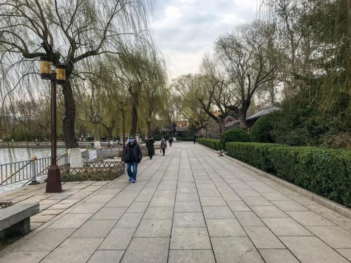 济南天下第一泉风景区开放首日,带你们“云逛”趵突泉、五龙潭……