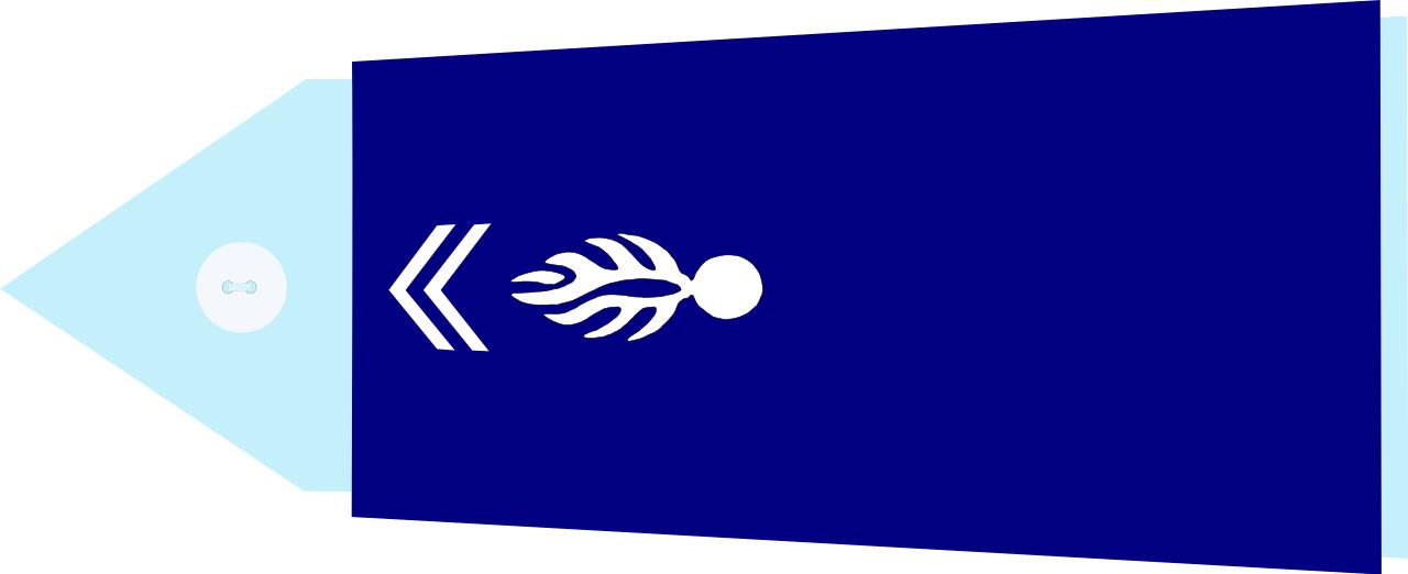 法国将军军衔等级,法国上校是什么军衔