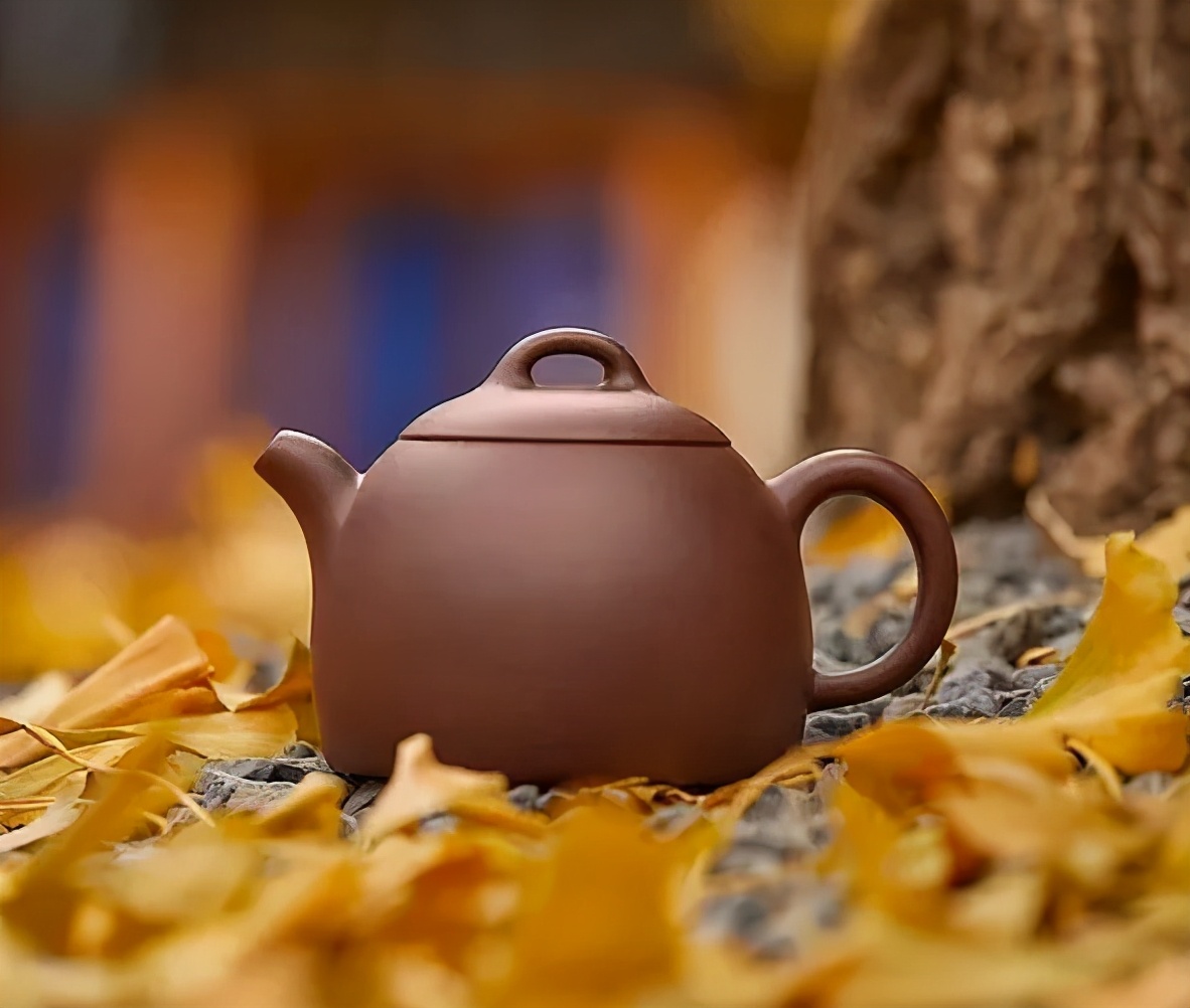 藏在“壶之王者”背后的千年密码