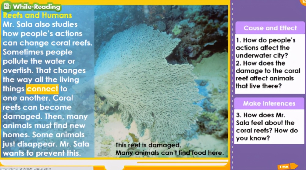 椴搁奔灏忕彮鑷爺璇剧▼浣撻獙,椴搁奔灏忕彮璇剧▼鍏戞崲