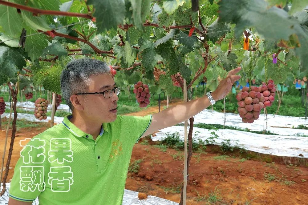 为什么大家都喜欢蹦迪,为什么喜欢跳坑