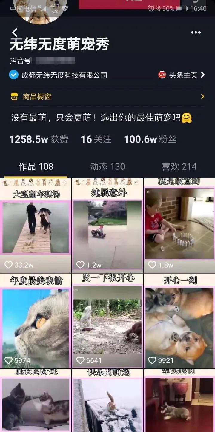 抖音网红打造教学,网红是怎么炼成的