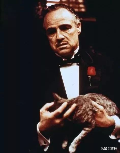 一集飙到93顶级神剧终于回归,神剧终于回来刚开播就飙到8.9分