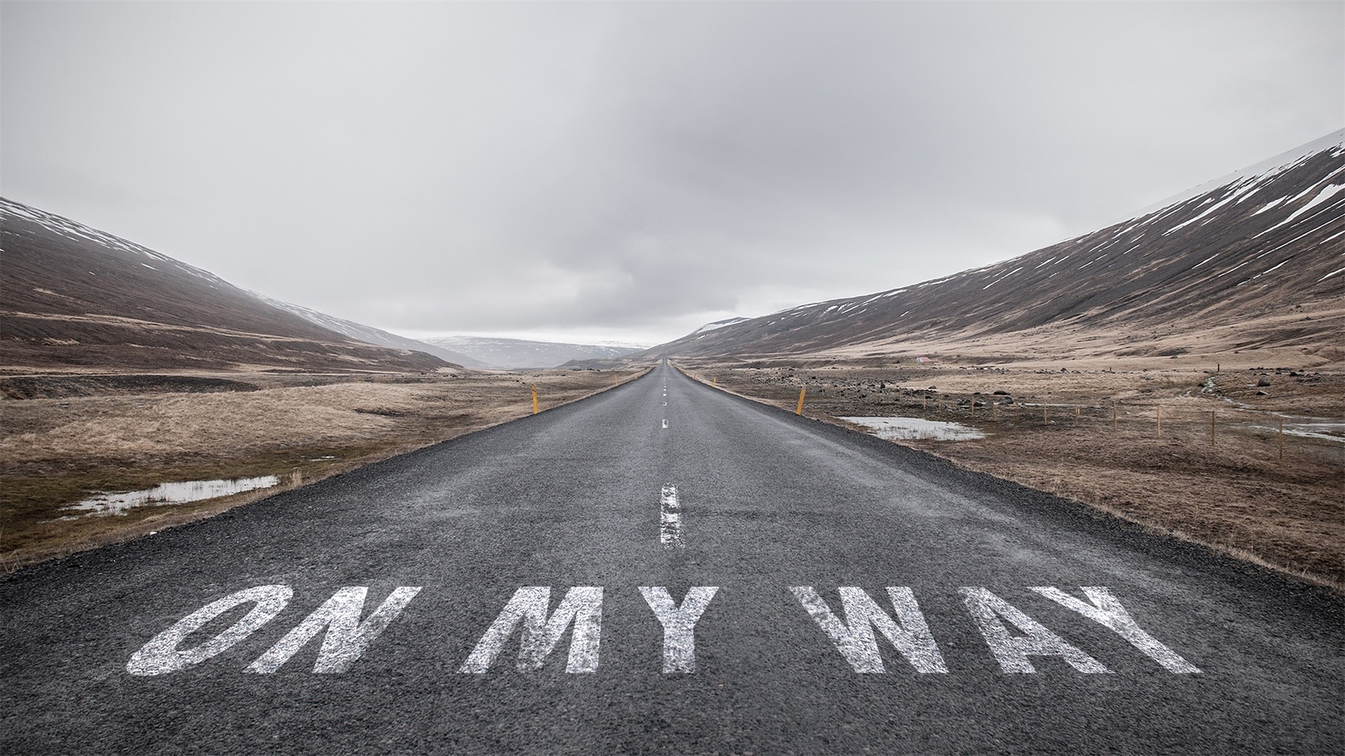 100张ppt创意多图展示动画,160多套清新唯美ppt模板