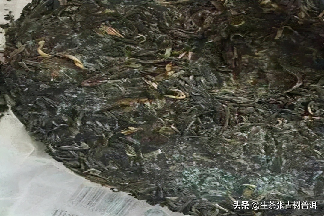 普洱茶有霉味但没发霉怎么处理好,普洱茶饼轻微发霉没有霉味