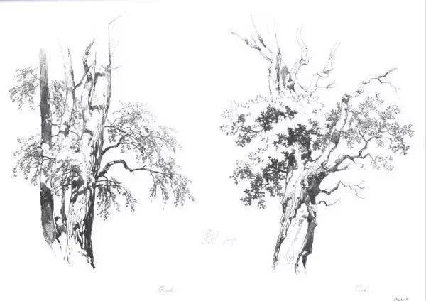 不会画风景咋办,不会画速写怎么办