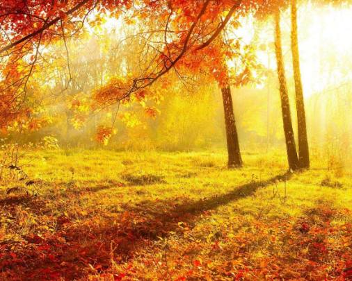 非常讨厌别人命令自己的星座,什么星座讨厌别人的命令