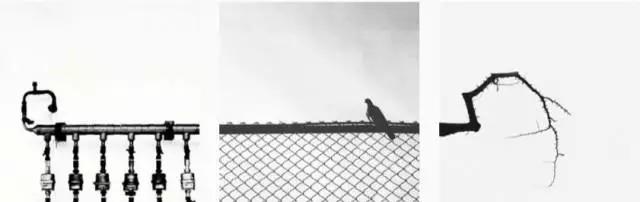 九宫格怎么晒图片,晒一晒九宫格图片