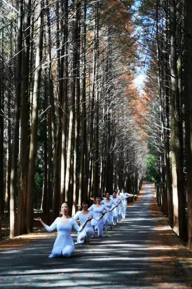 闲坐凉亭、徒步森林、畅快橡皮艇,快来苍溪纳凉避暑~