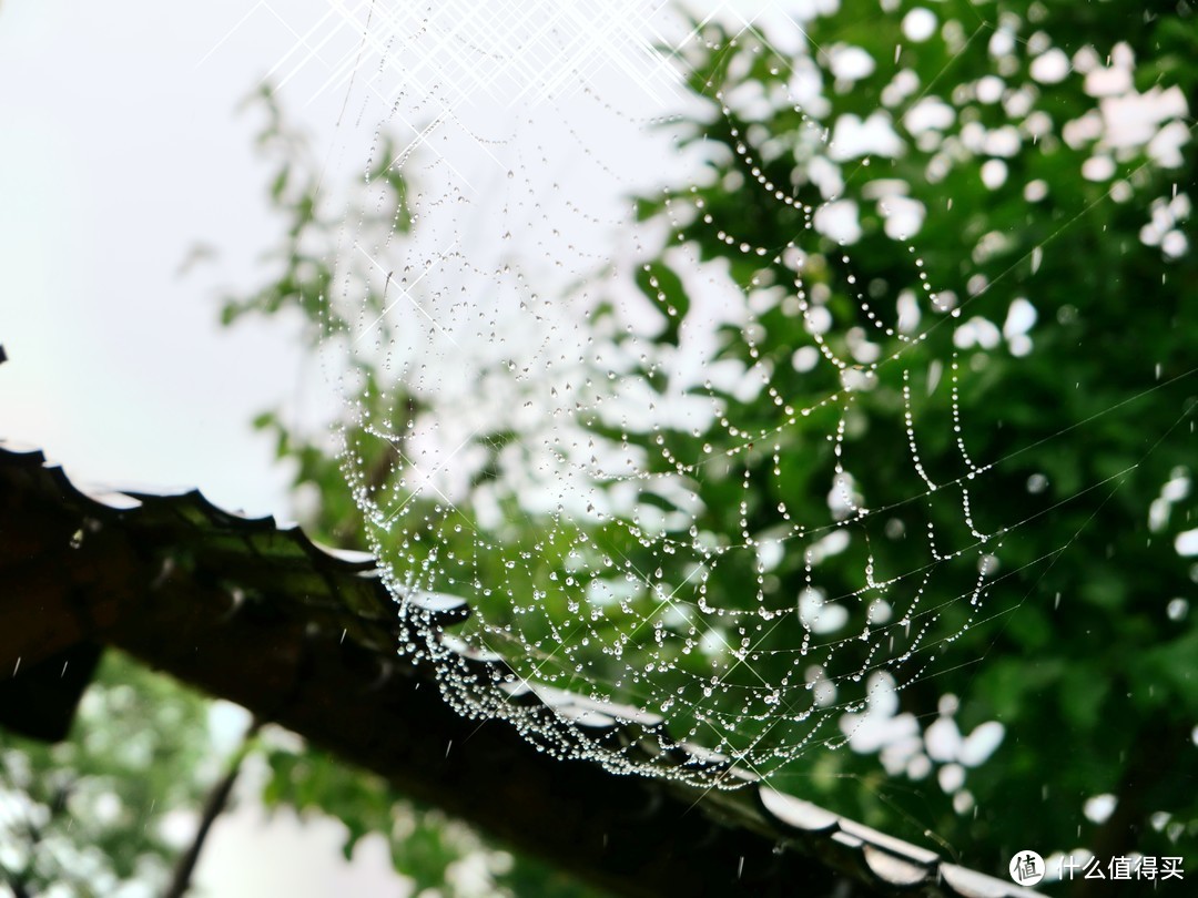 徕卡leicad-lux7相机测评,徕卡leicad-lux5测评