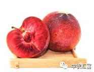 21世纪的水果骄子--亩收益20000元以上，恐龙蛋李子