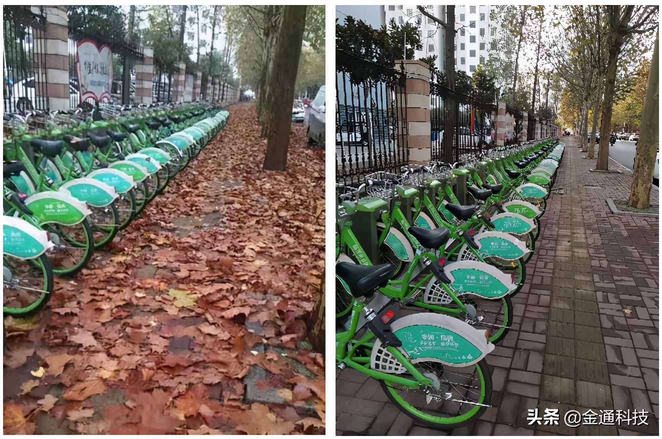 严守“安全关”！公共自行车保障冬季出行