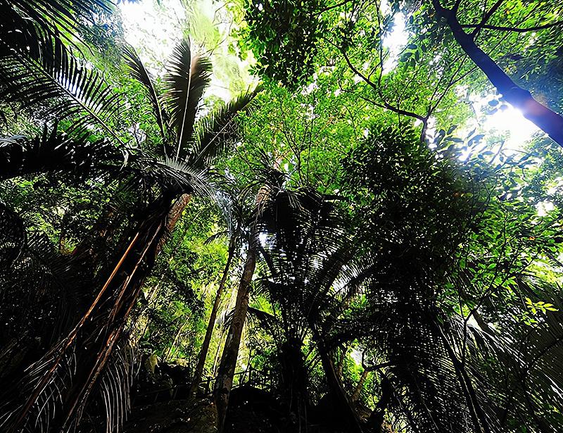 百战老兵有哪些,百战老兵有多厉害