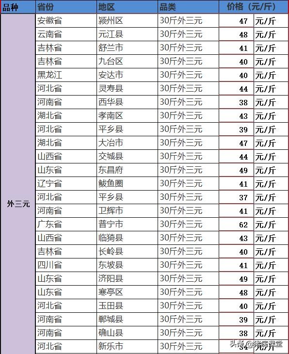 仔猪价格今日最新价格,仔猪今日价格全国猪价