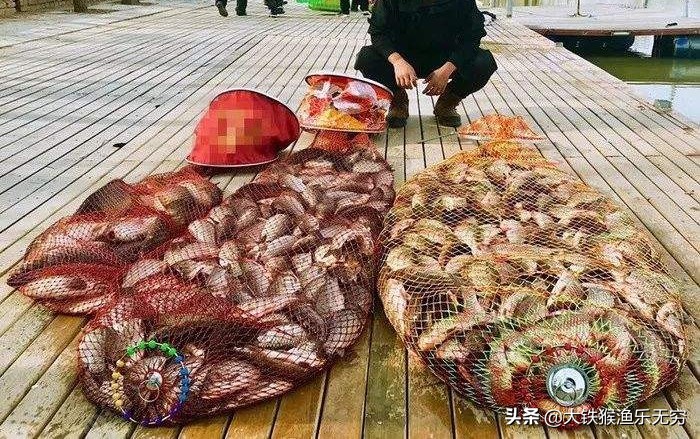 直播卖货坑,直播卖货的坑有多深