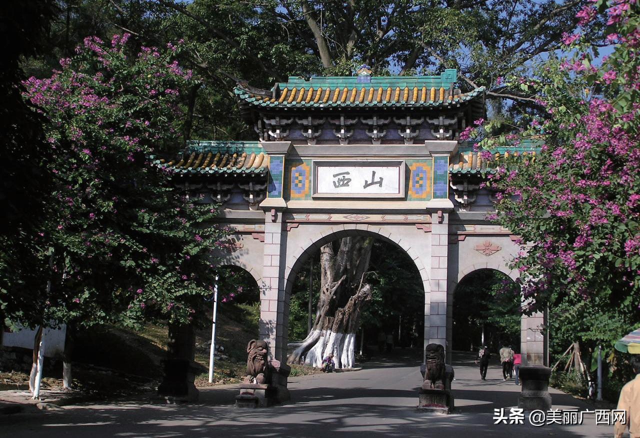 浔郁三城｜桂平：值得为你骄傲