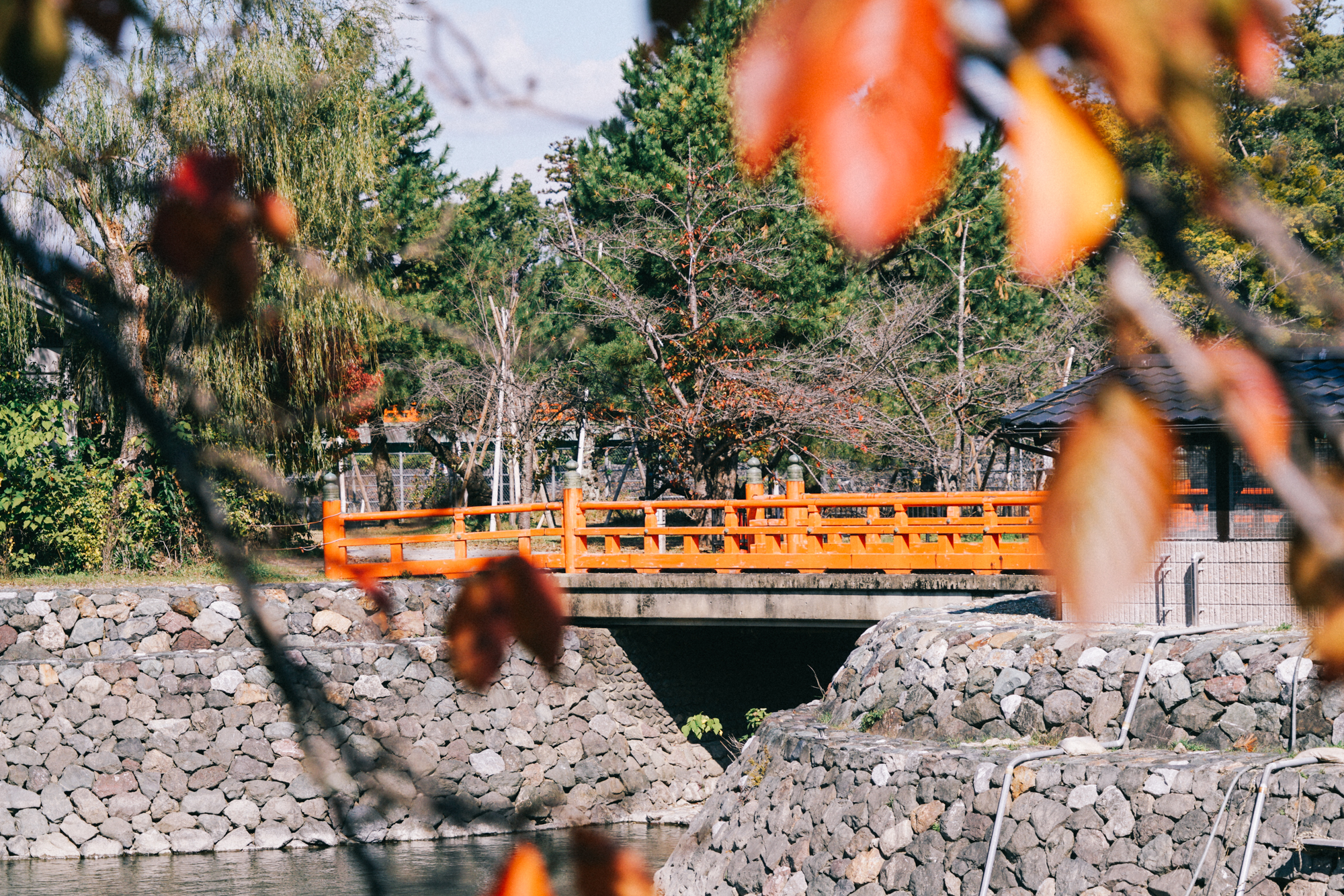 日本京都南禅寺国宝,日本旅游国宝