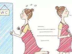 孕妇在早孕期出现尿频症状的原因,一晚三次小便多吗