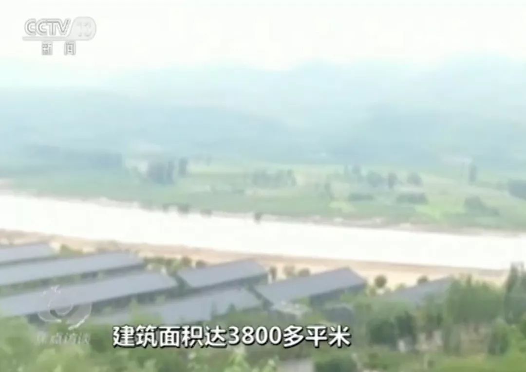 明年，对他们将开足马力打