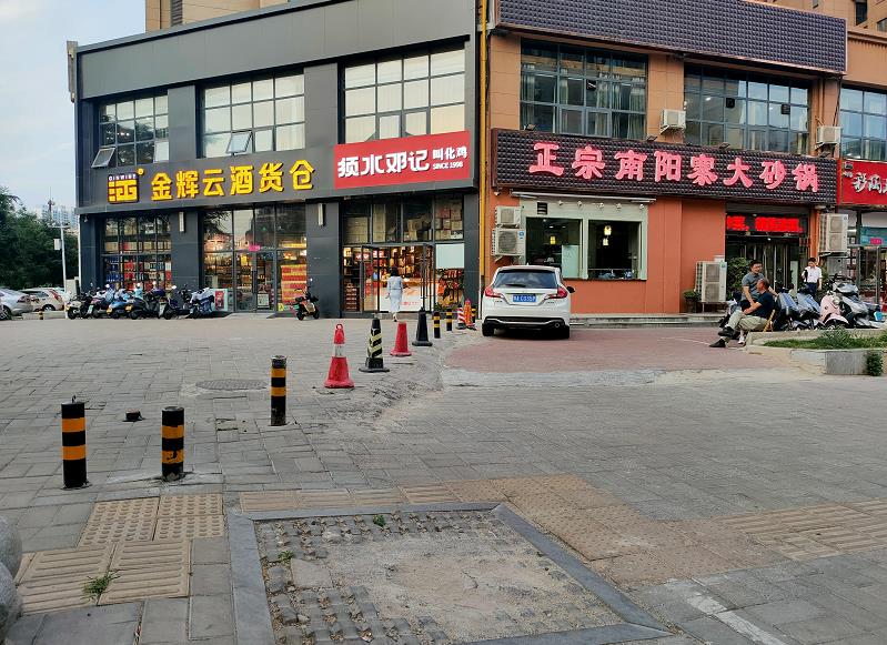 河南省郑州市行道树,郑州市行道树