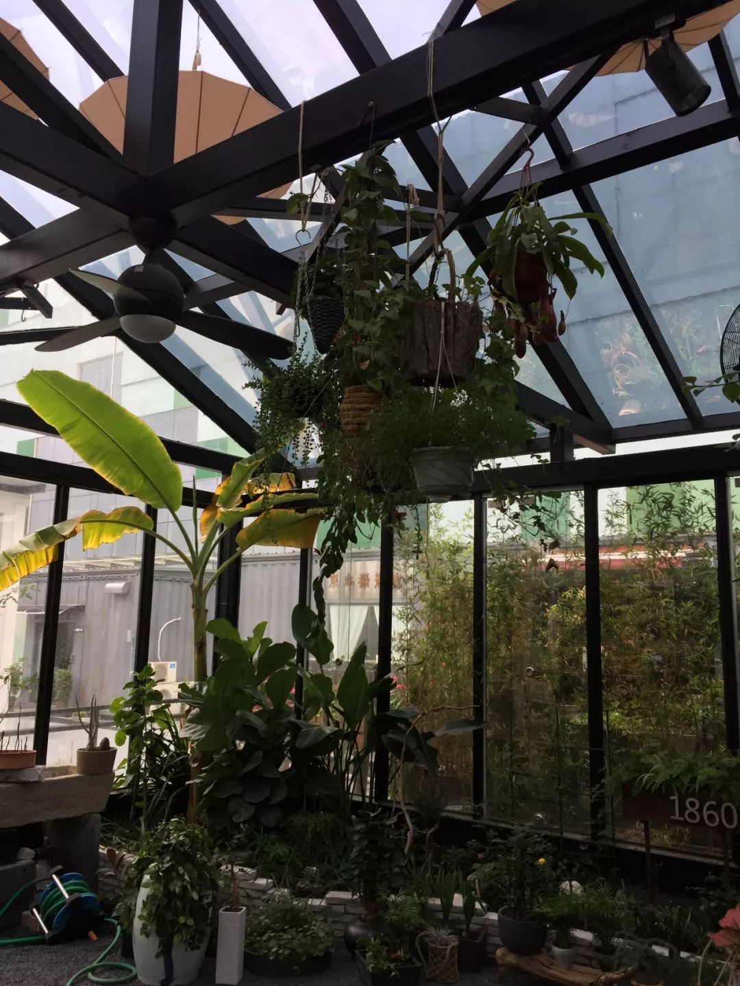 算命说上辈子是花童是什么意思,上辈子是花童是什么意思