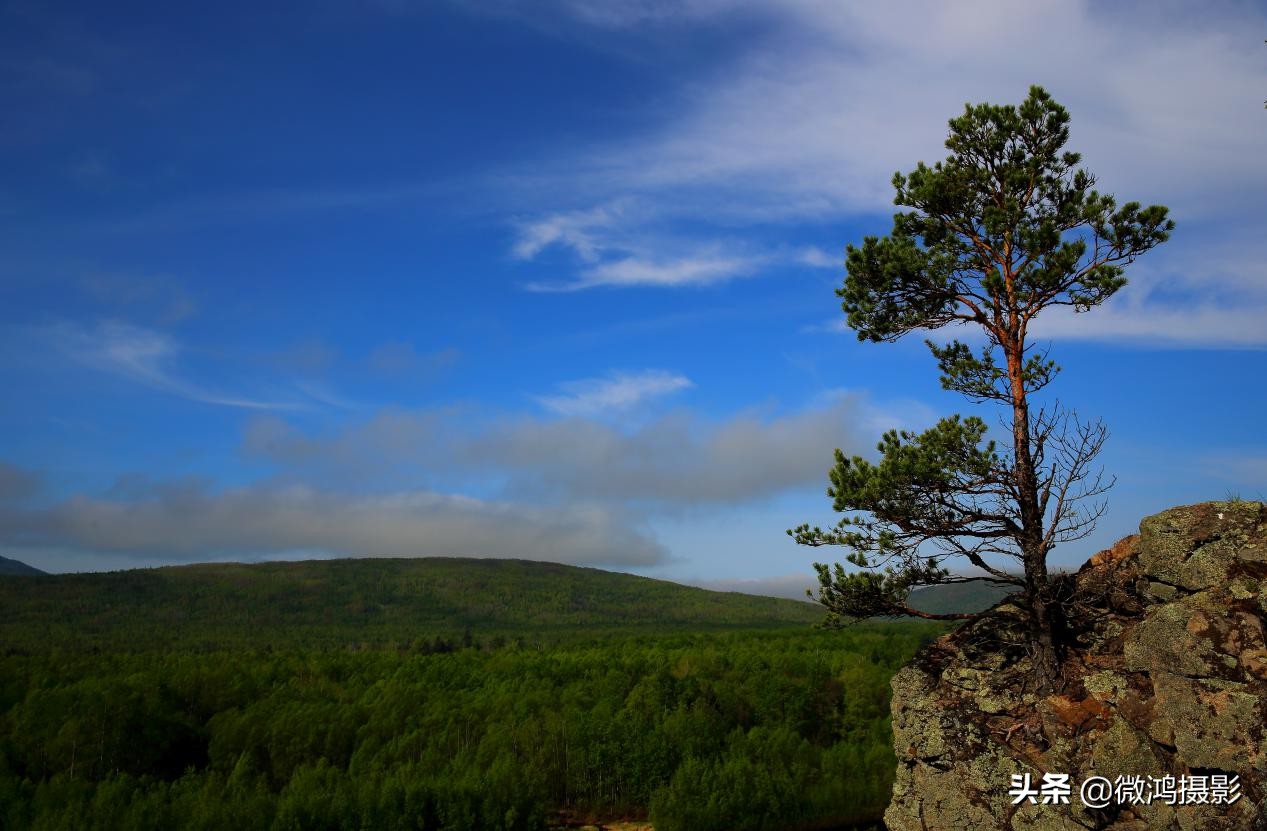 黑龙江大兴安岭塔河导游词
