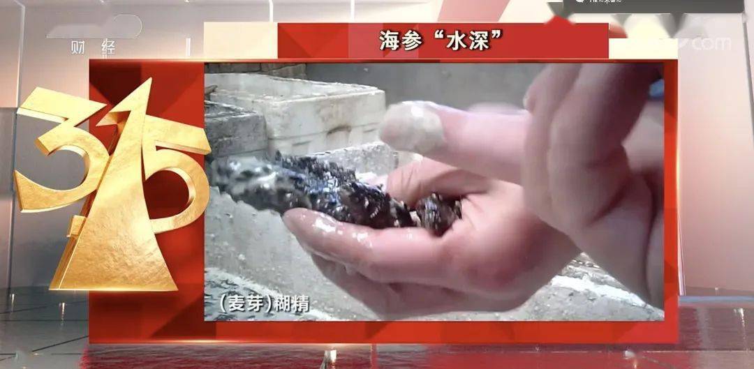 315海参曝光后海参还能吃吗,315曝光海参的功效与作用