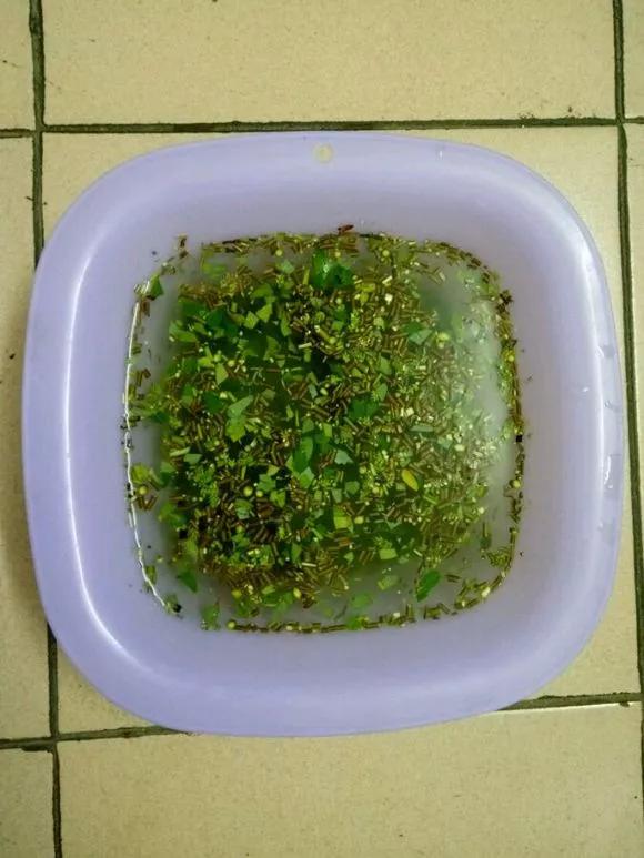 已经腐烂的柳树皮养花怎样用,柳树皮直接放盆土养花