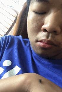 搞笑动图gif微信可爱表情包,搞笑动图gif微信表情包2019