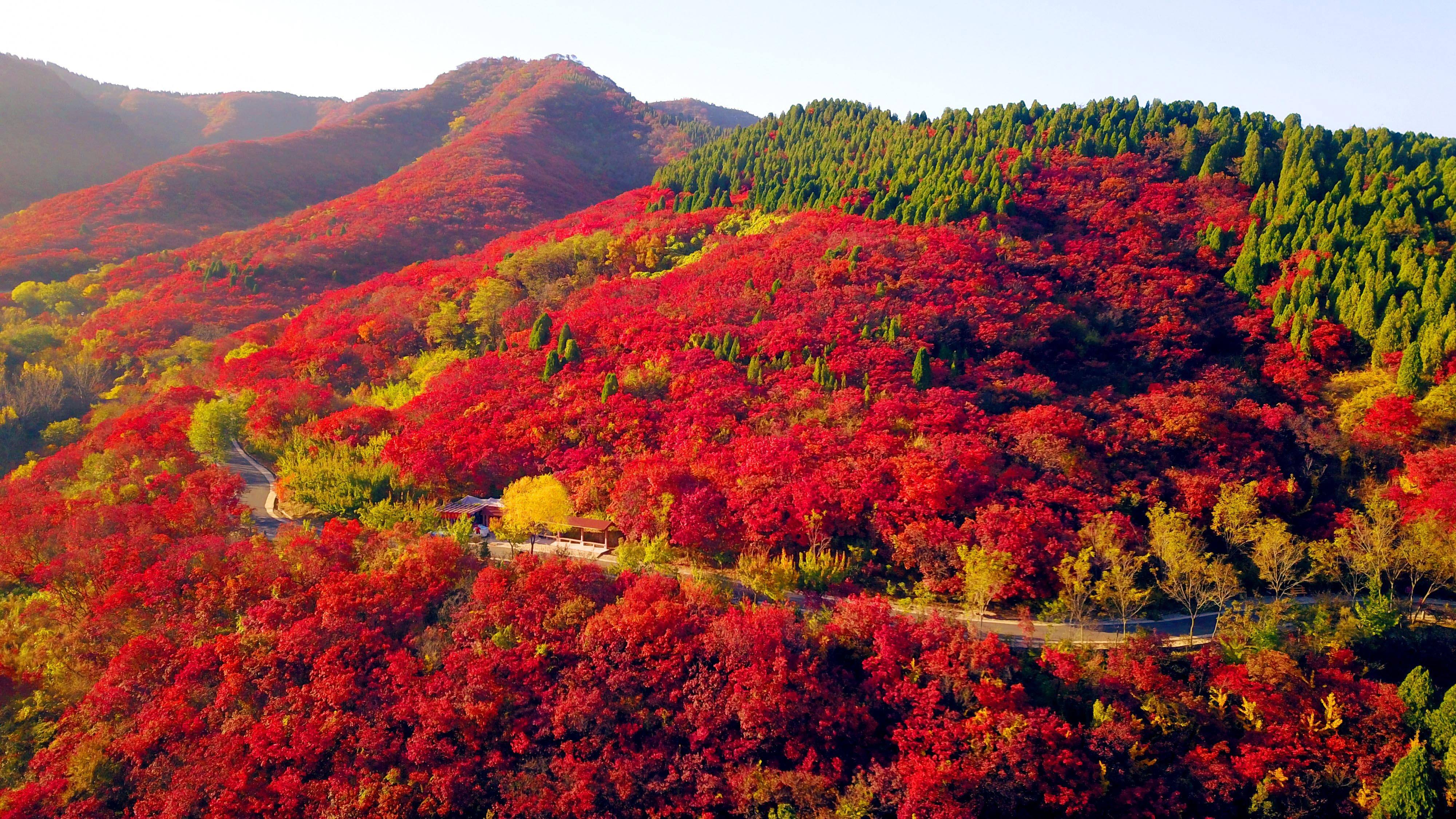 山东济南4a景点,济南市华山旅游景区