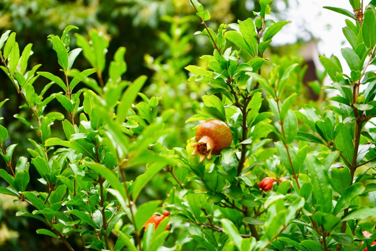 玉祥门到曲江池凯悦酒店,西安五星级凯悦酒店