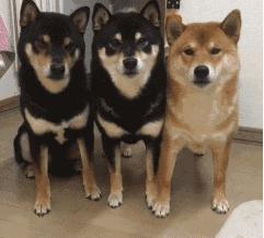 儿童游乐场利润大吗,儿童游乐园利润分析