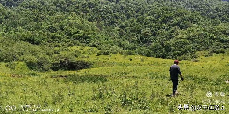 汉中圈子崖天坑,汉中镇巴圈子崖天坑旅游攻略