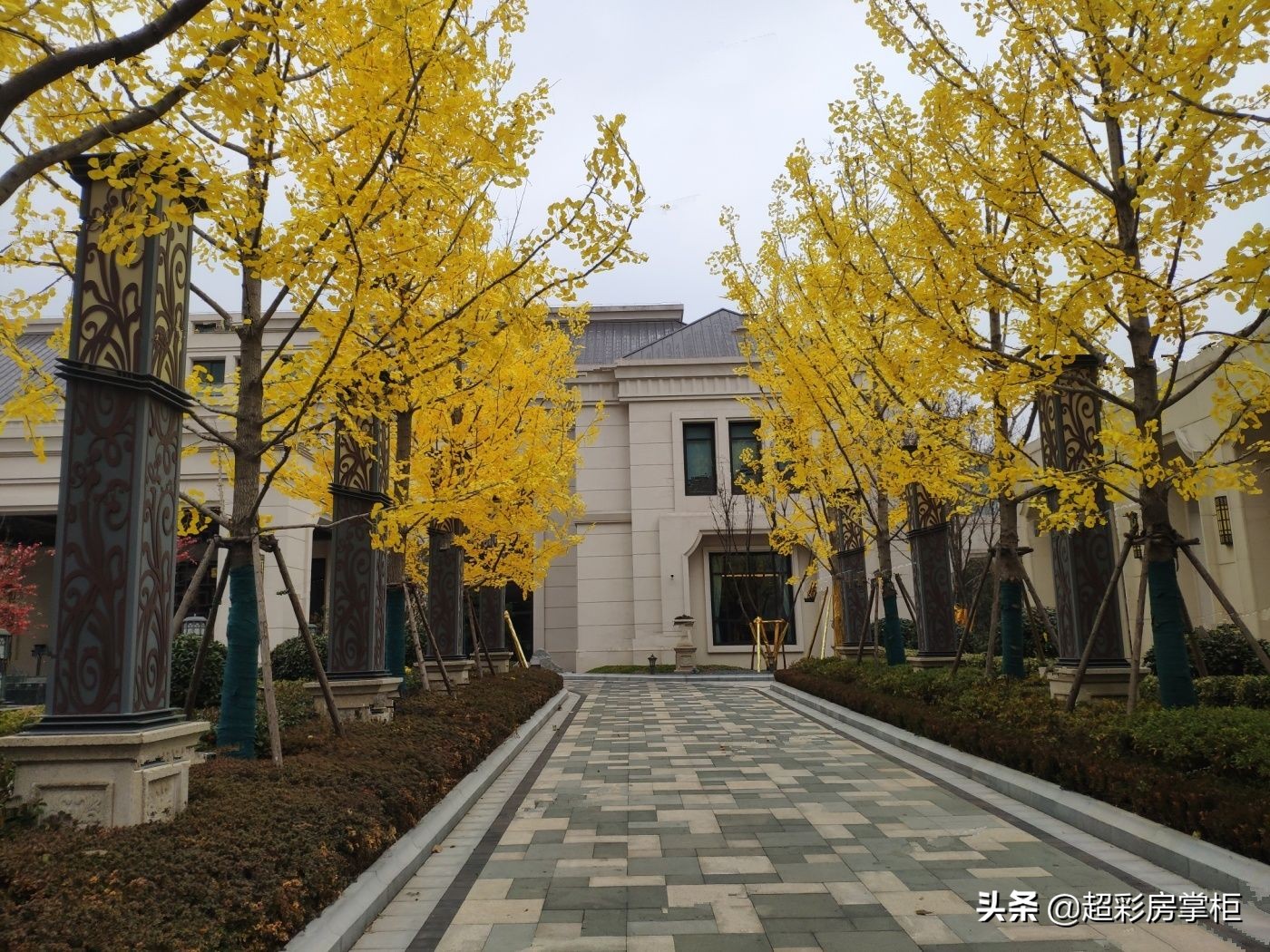 郑州超采房掌柜,郑州超峰探盘