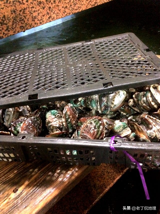 中国海鲜地图,中国海鲜最多地区