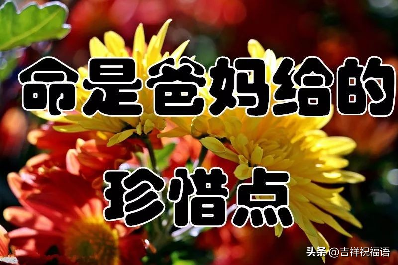 几句话送给未来的自己,几句话送给年轻的你们