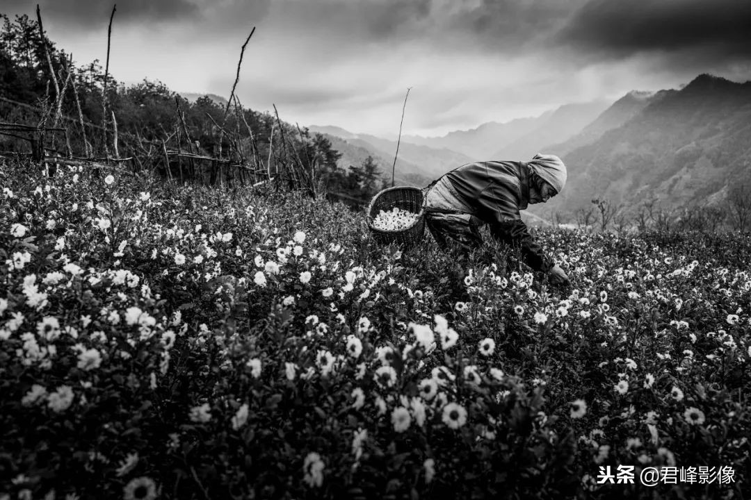 2018年最值得感动的时刻,对于2018你最大的收获是什么