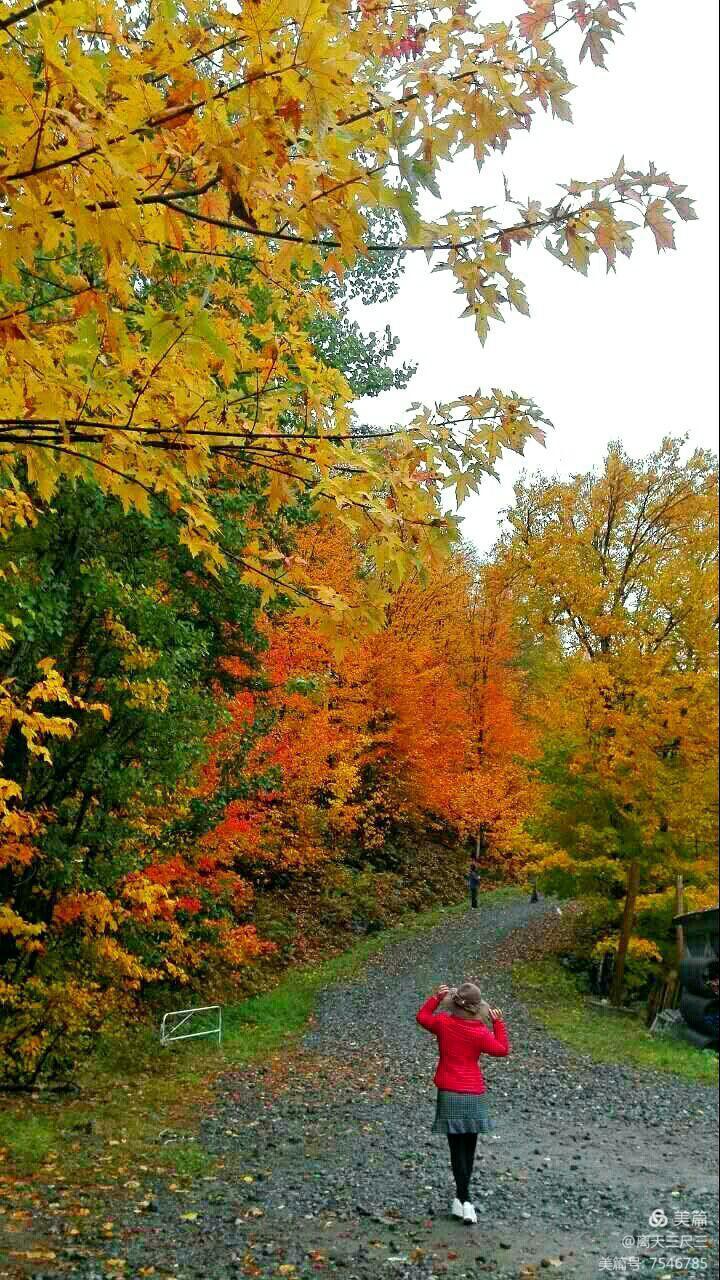 鍖楃編鏋儏閽荤煶姗℃湪,鍖楃編鏋儏鐏攨