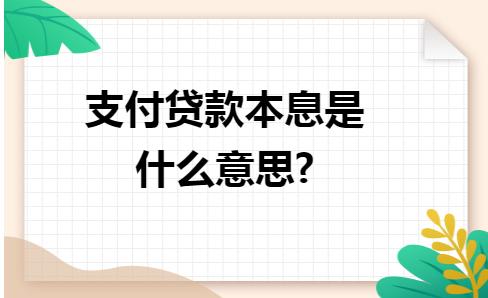 支付代偿款是什么意思,贷款剩余本息额是什么意思