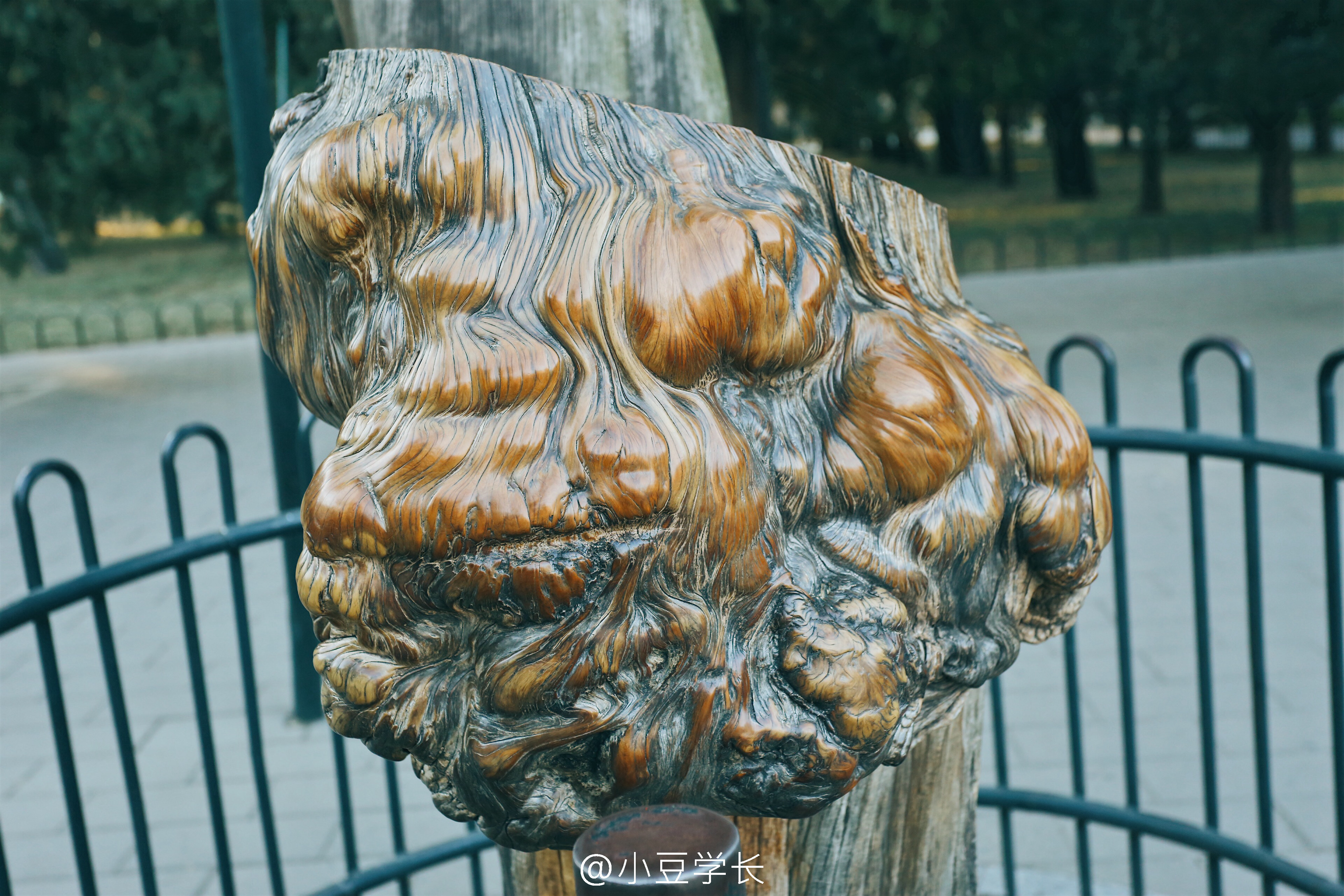 明清两朝皇帝祭天场所天坛视频,皇帝天坛祭天流程图