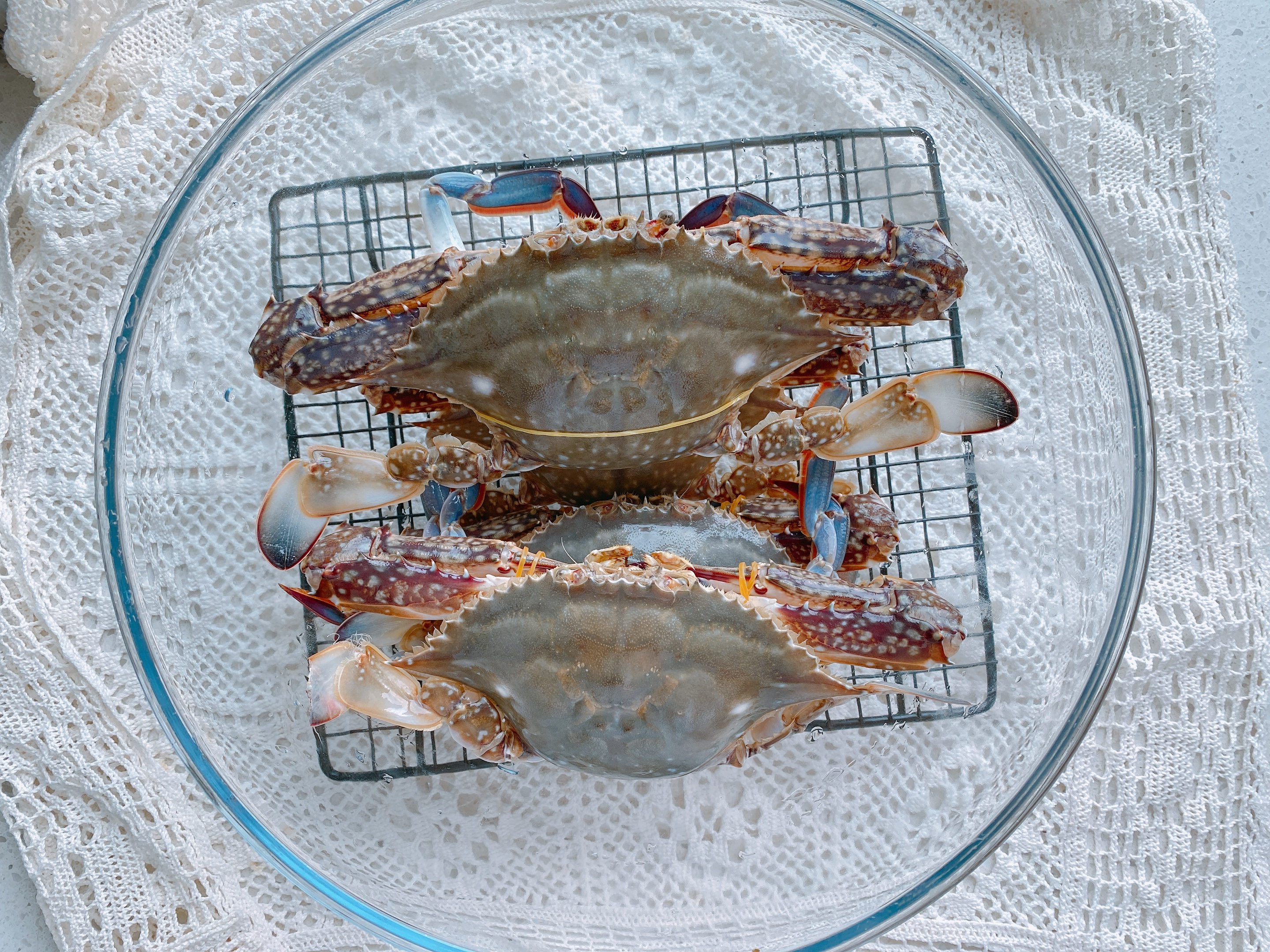 怎么挑选出好吃的梭子蟹,怎么挑梭子蟹肥美