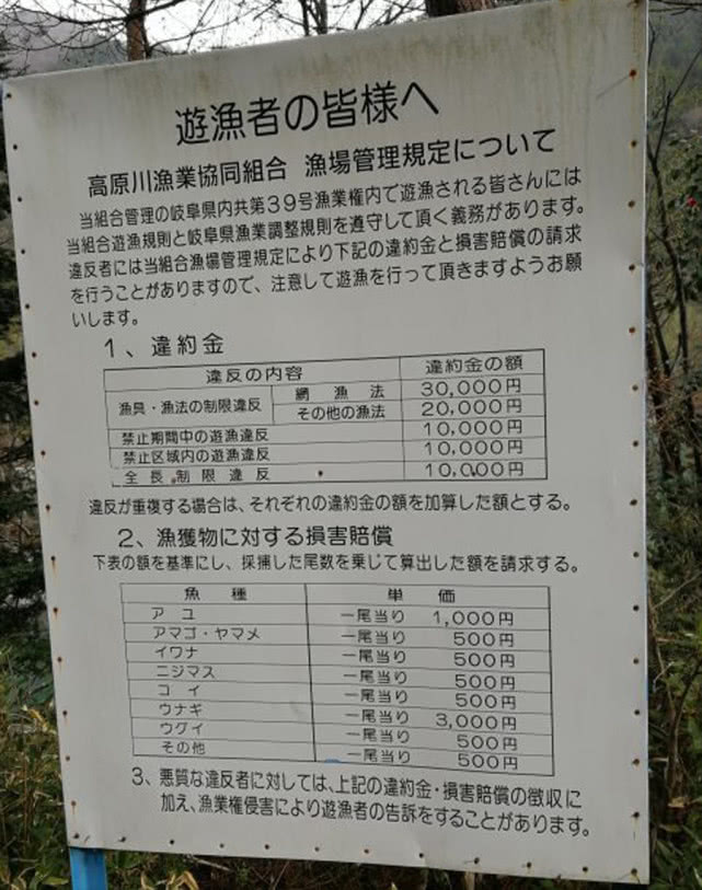 日本最好吃的几种鱼,日本最好吃的鱼有哪些