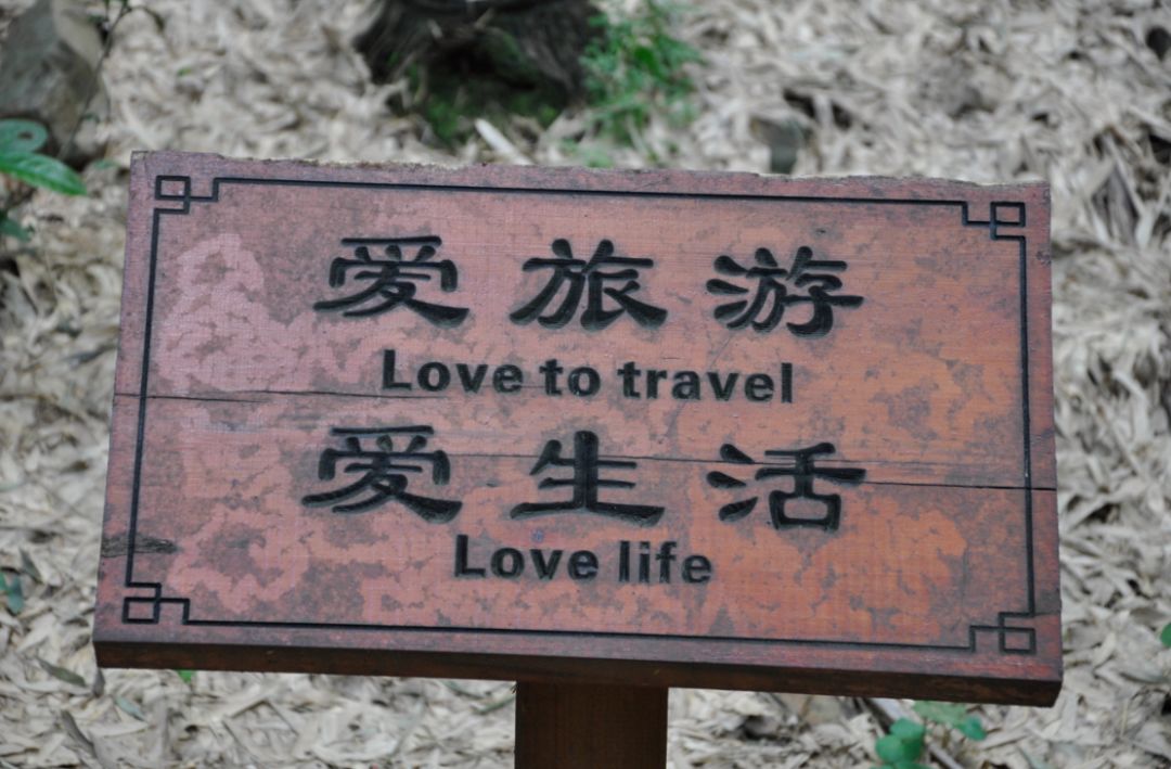 瀹滃叴绔规捣璇︾粏鏀荤暐,瀹滃叴绔规捣娓稿鏀荤暐