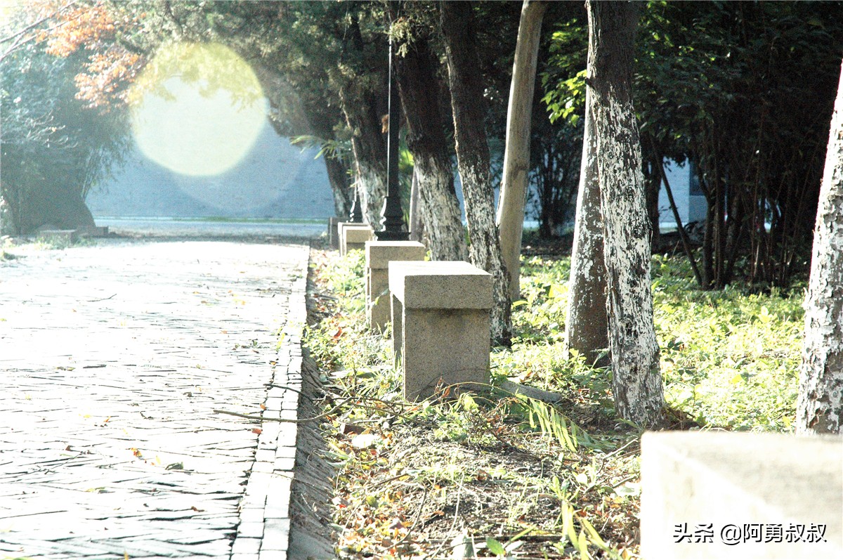 全国百强高中苏州有几个,苏州实验中学科技城校区