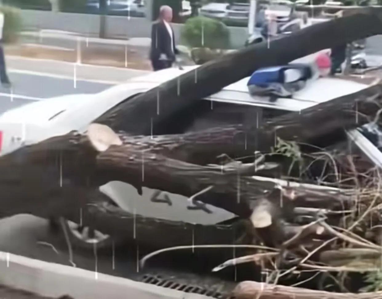 极端天气安全防范十条规定,关注天气预警落实好安全防护措施