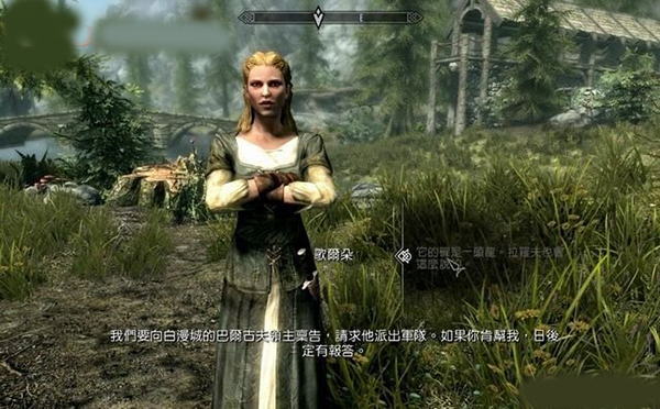 上古卷轴5天际汉化,上古卷轴5天际重制版汉化教程